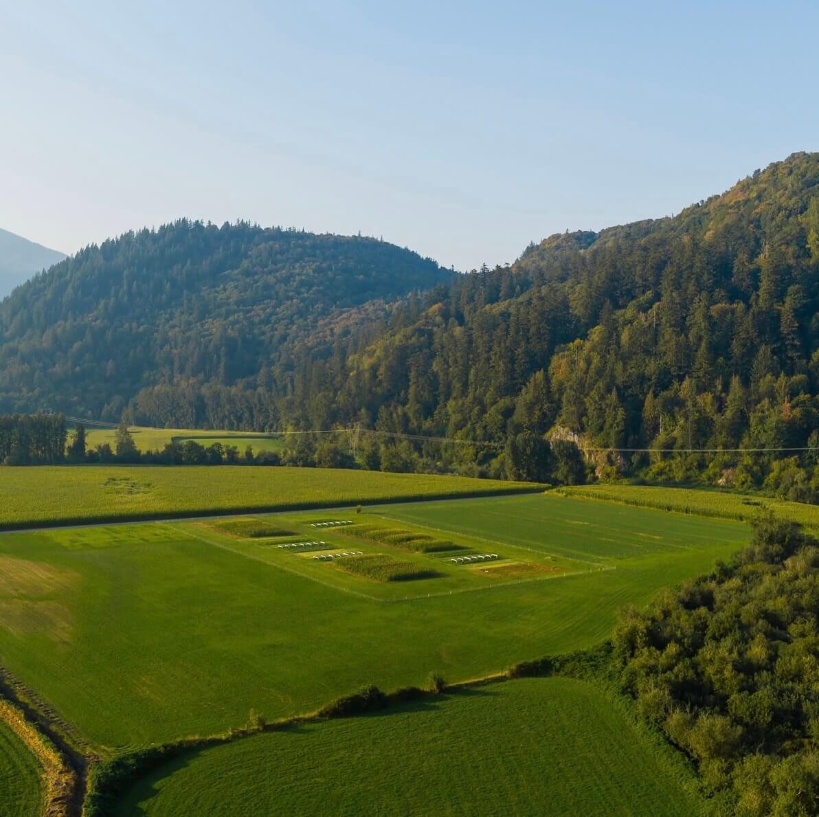 Aerial photo of the Farmlets in Agassiz, BC. Photo by Hover Collective.